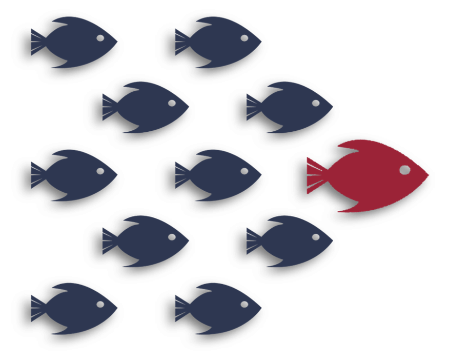 Fish shadow r2 Fish shadow r2